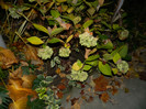 DSCN2098
