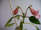 IMAG0015