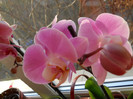 DSCN0125