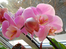 DSCN0126