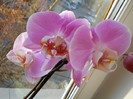 DSCN0127