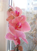 DSCN0128