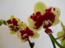 DSCN0143
