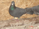 DSC08403