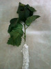 21 nov 2012-flori 003
