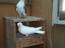 SAM_0314