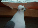 SAM_0318
