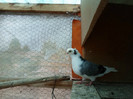 SAM_0324