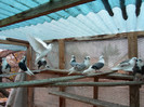 SAM_0325