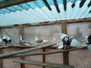 SAM_0326