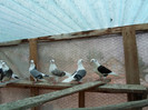 SAM_0327