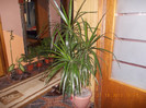 DSCN4827_348