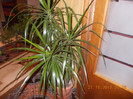 DSCN4860_381