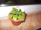 DSCN4864_385