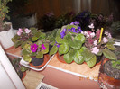 DSCN4863_384