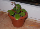 DSCN4871_392
