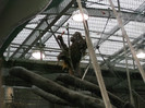 zoo 052