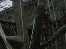 zoo 056