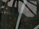 zoo 057