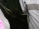 zoo 063