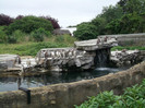 zoo 065