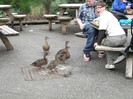 zoo 072