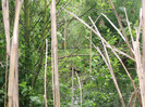 zoo 076