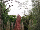 zoo 078
