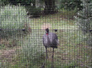 zoo 079