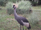 zoo 080