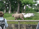 zoo 084