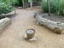 zoo 094