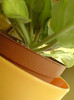DSC01703