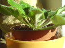 DSC01708