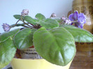 DSC01764