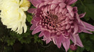 P1050589
