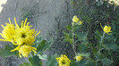 P1050498