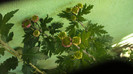 P1050500