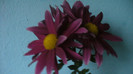 P1050504