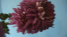 P1050506