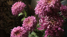 P1050516