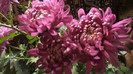 P1050517