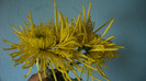 P1050526