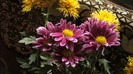 P1050531