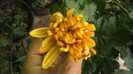 P1050535
