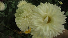 P1050538