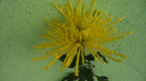 P1050540