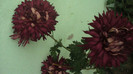 P1050543