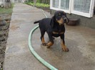 poze catei 2012 011