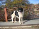 DSCN1627